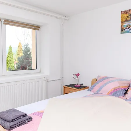 Homestay Smestaj Stai, U Ulici Nikole Tesle 10, *